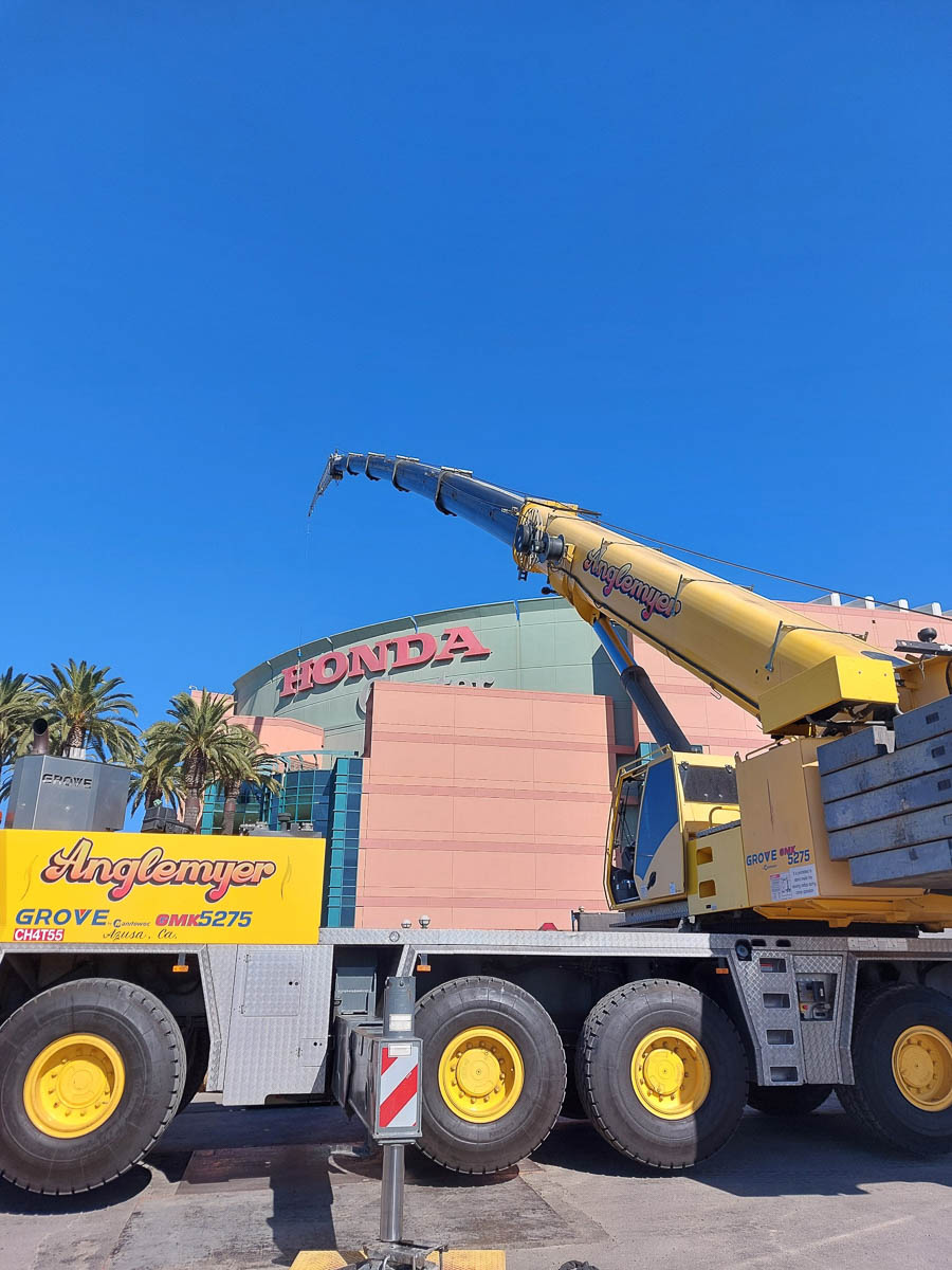 Crane pic 14