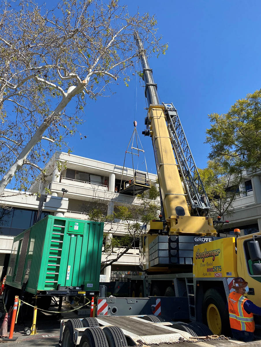 Crane pic 24