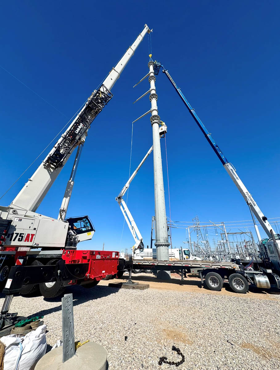 Crane pic 26