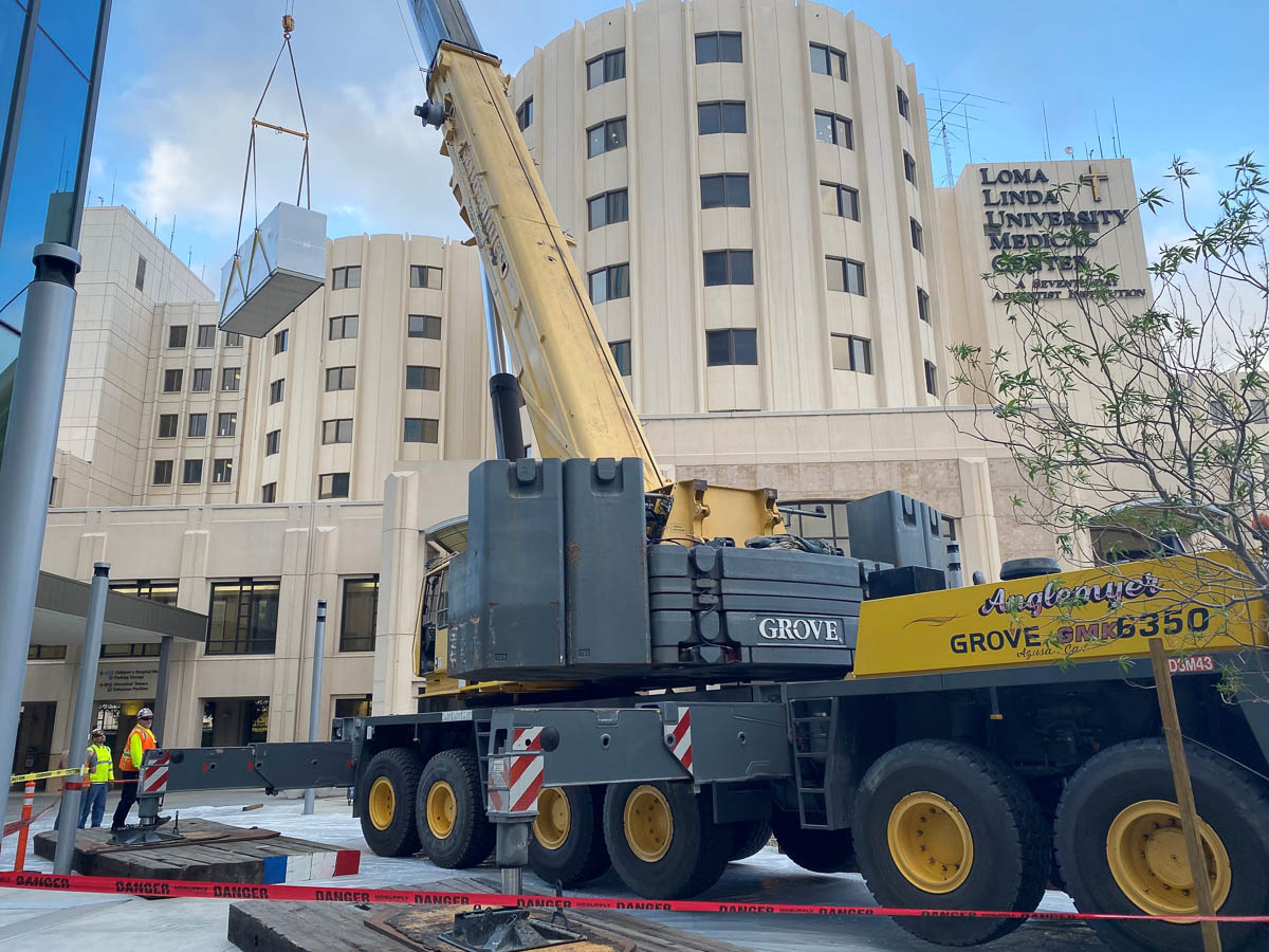 Crane pic 4