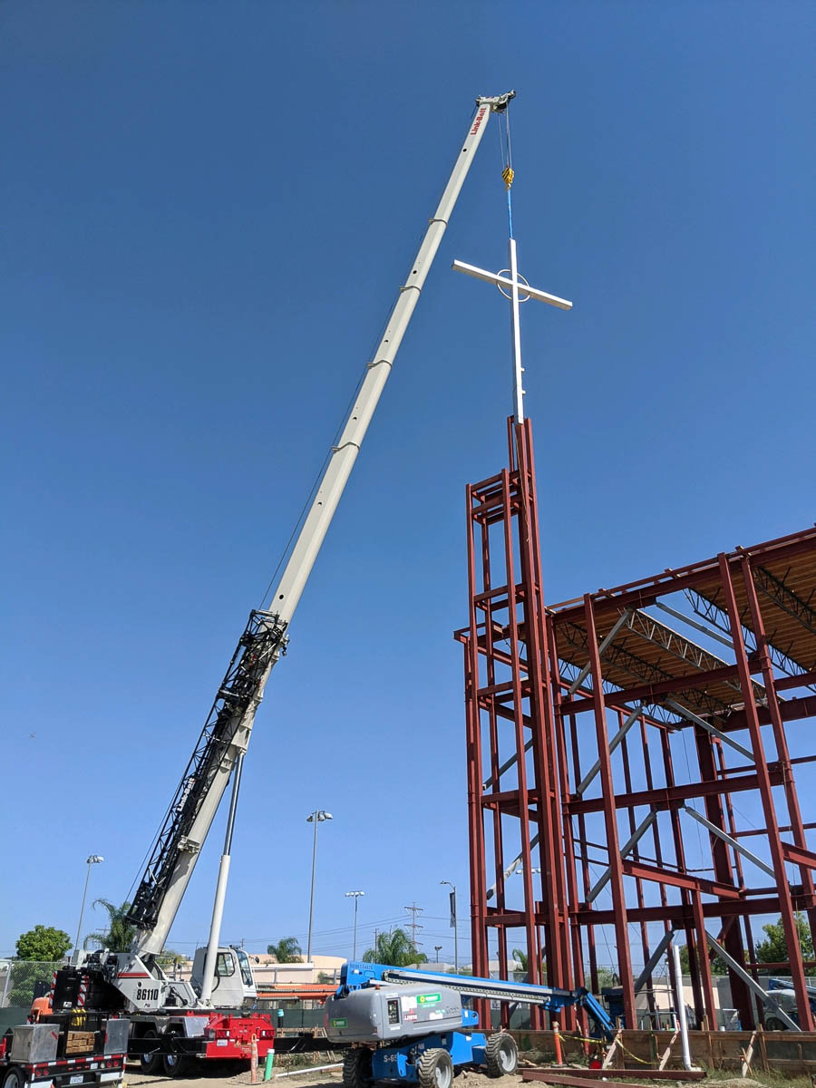 Crane pic 5