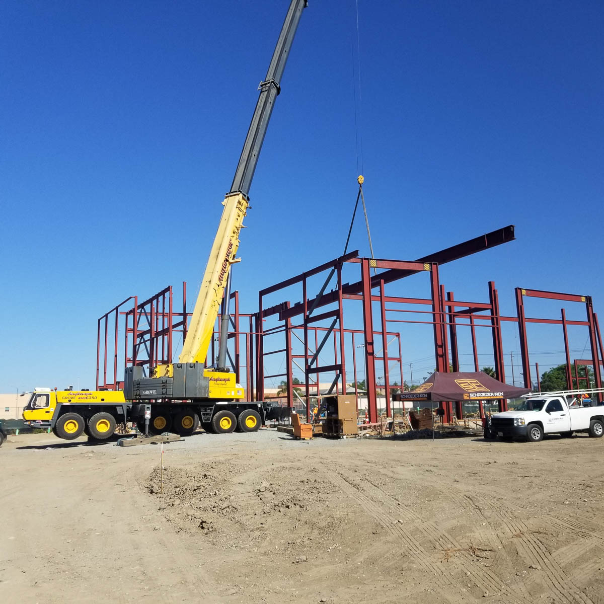 Crane pic 6